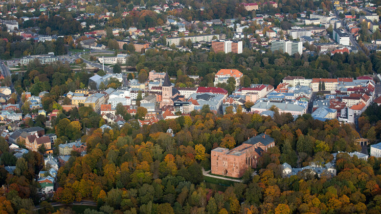 Toomemägi_ autor Andres Tennus